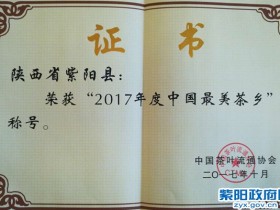 紫阳荣获“2017年度中国最美茶乡”称号