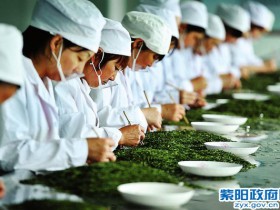 紫阳茶厂：紫阳县盘龙天然富硒绿茶有限公司