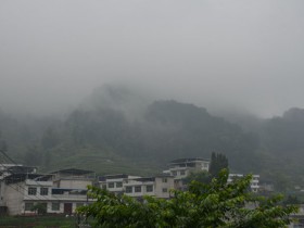 紫阳富硒茶蒿坪毛尖口味特点