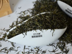 紫阳富硒茶区域品牌价值攀升至62.22亿元