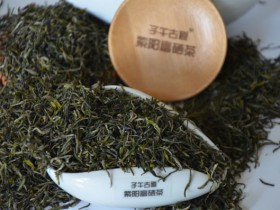 安康日报:问史古道览沧桑