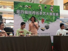 绿茶茶艺的基本程序