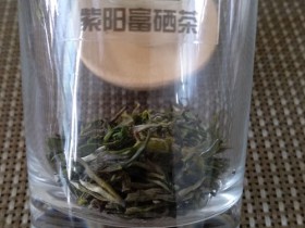 陕西安康市鲁琦在市茶业协会调研安康富硒茶品牌整合工作