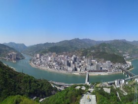 紫阳县高桥镇新栽种茶苗300万株