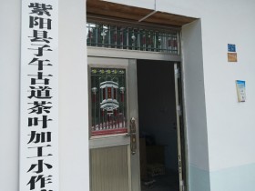 蒿坪毛尖茶哪个厂家好