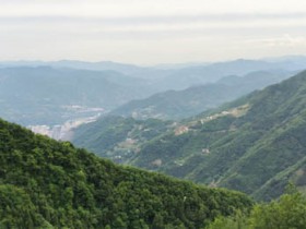 紫阳县喜获“全国区域特色美丽茶乡”称号