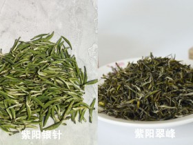 陕西的紫阳银针和紫阳翠峰茶哪个更好一些？