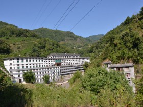 紫阳县和平茶厂被认定为陕西省首批重点产业链“链主”企业