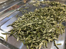 陕西安康的紫阳银针茶是生茶还是熟茶？