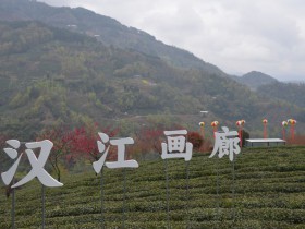 安康市紫阳县召开富硒茶产业高质量发展论坛