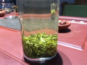 安康市紫阳县：以茶兴业的N种途径