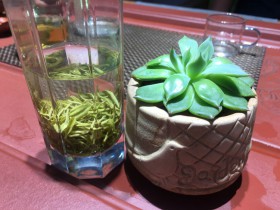 紫阳毛尖是炒青还是晒青?