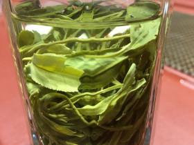 明后紫阳毛尖喝起来咋样?