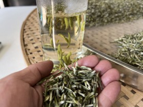 2025年子午古道紫阳银针价格表