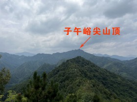 登子午古道尖山 品子午古道富硒茶