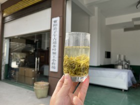 陕西日报:紫阳:茶文旅成功融合的“密码”
