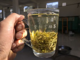 陕西省紫阳毛尖第一品牌