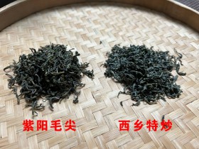 紫阳毛尖和西乡特炒哪个好喝?