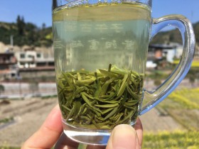安康市最贵的茶叶排名