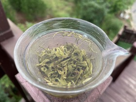 紫阳毛尖适合什么样的人喝?