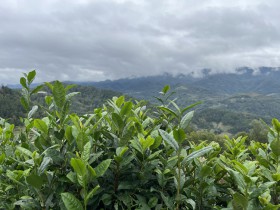 国庆中秋假期紫阳县接待游客超26万人次