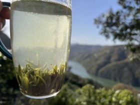 紫阳翠峰泡出来水中有悬浮物不会有问题吧?