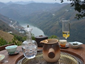 安康市紫阳县组团参加第十七届海峡两岸茶博会