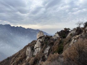 秦岭户外线路人头山山顶品紫阳富硒茶