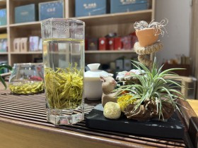 紫阳茶卷的好还是直的好?