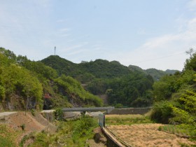 紫阳县双安镇的茶叶含硒量是最高的吗?