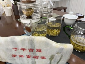 陕西最好的茶叶紫阳毛尖价格