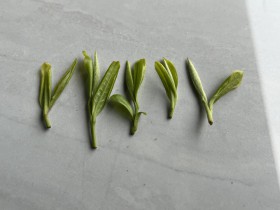 富硒茶紫阳翠峰和紫阳翠芽的差别