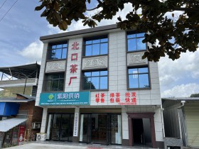 紫阳龙潭茶叶怎么样好喝吗?