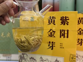 紫阳县有黄金芽茶叶吗?