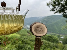 紫阳富硒茶有了“数字身份证”