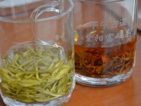紫阳茶本地群体种的茶叶有什么特点