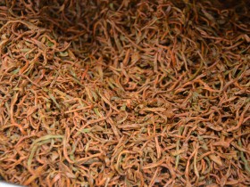陕西安康五月初的茶还能采摘吗?