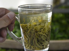 紫阳翠峰口感淡是什么原因?
