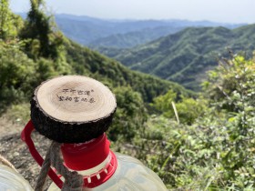 紫阳红茶制作为什么要用水?