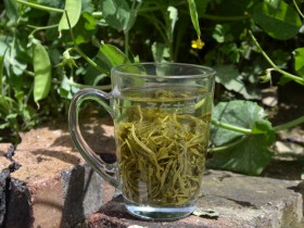 在西安哪里能买到最好的紫阳富硒茶