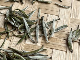 紫阳银针泡几次合适?