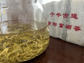 紫阳绿茶和西乡绿茶哪个好?