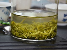 紫阳茶500元一斤的怎么样?