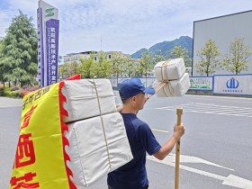 紫阳最好的茶叶是哪里的?