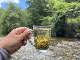 喝富硒茶为什么一定要选择紫阳富硒茶呢?
