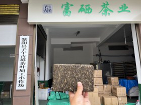 紫阳正宗富硒茶茶厂在哪?