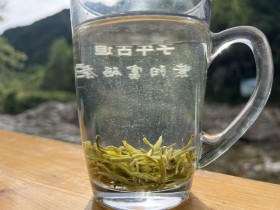 紫阳毛尖与汉中毛尖哪个贵