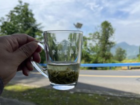 紫阳茶最好的都有哪些?