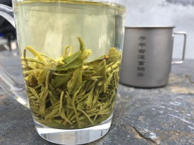 卖50块钱一斤的紫阳茶是真的吗?