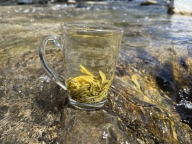 陕西的紫阳翠峰茶叶功效与作用